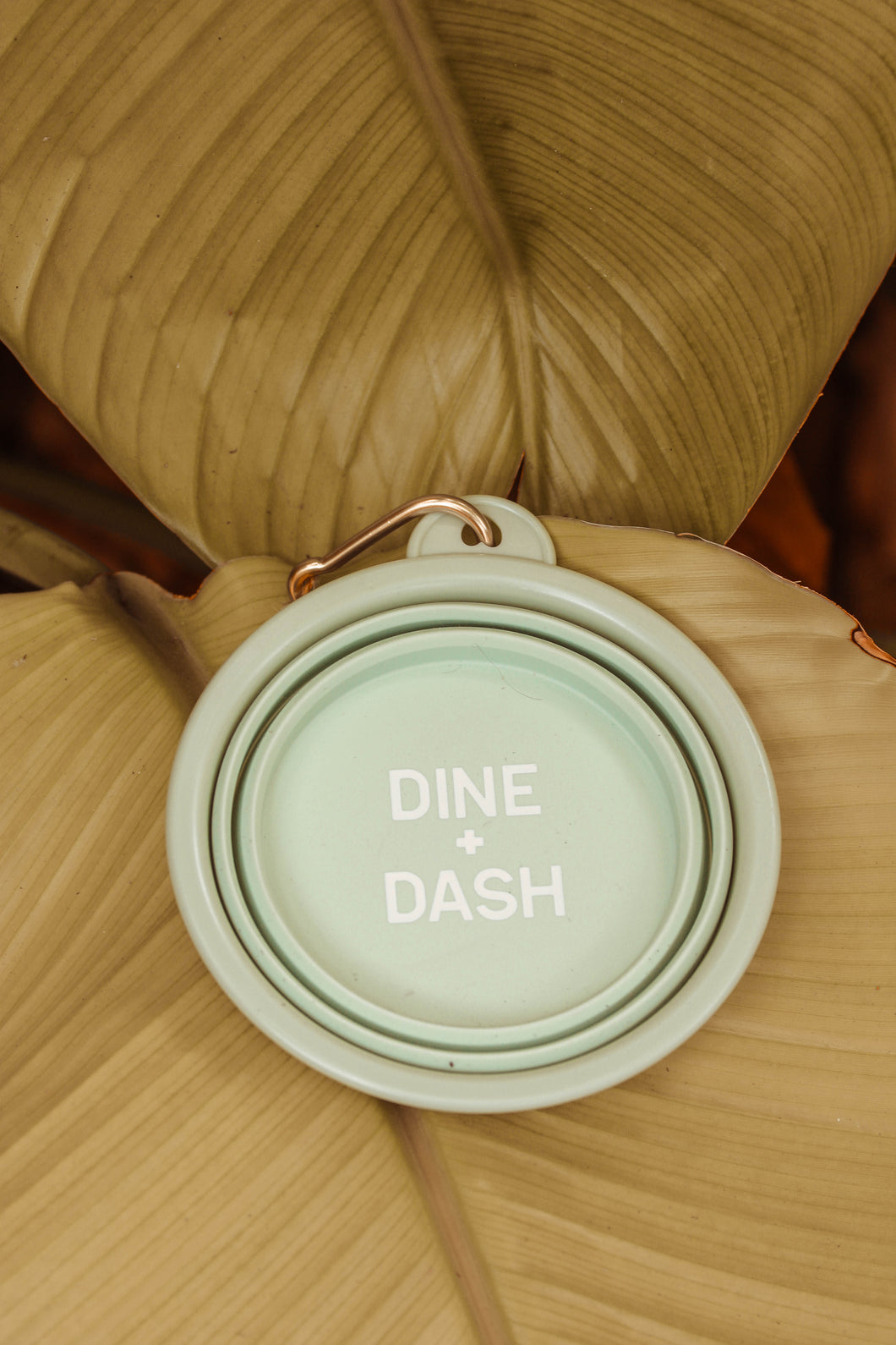 Collapsible Bowl-Dine + Dash
