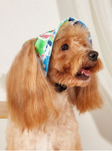 Load image into Gallery viewer, Groovy Dog Hat
