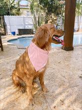 Load image into Gallery viewer, Poppy Pink Waterproof &#39;Dana
